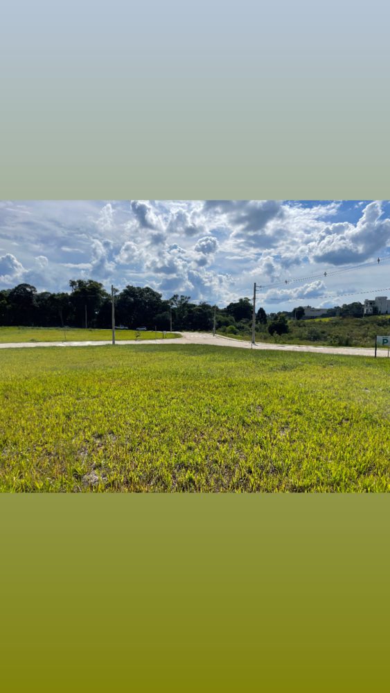 6677DF75-BA2C-4FDD-9CFD-84B0F33BF058