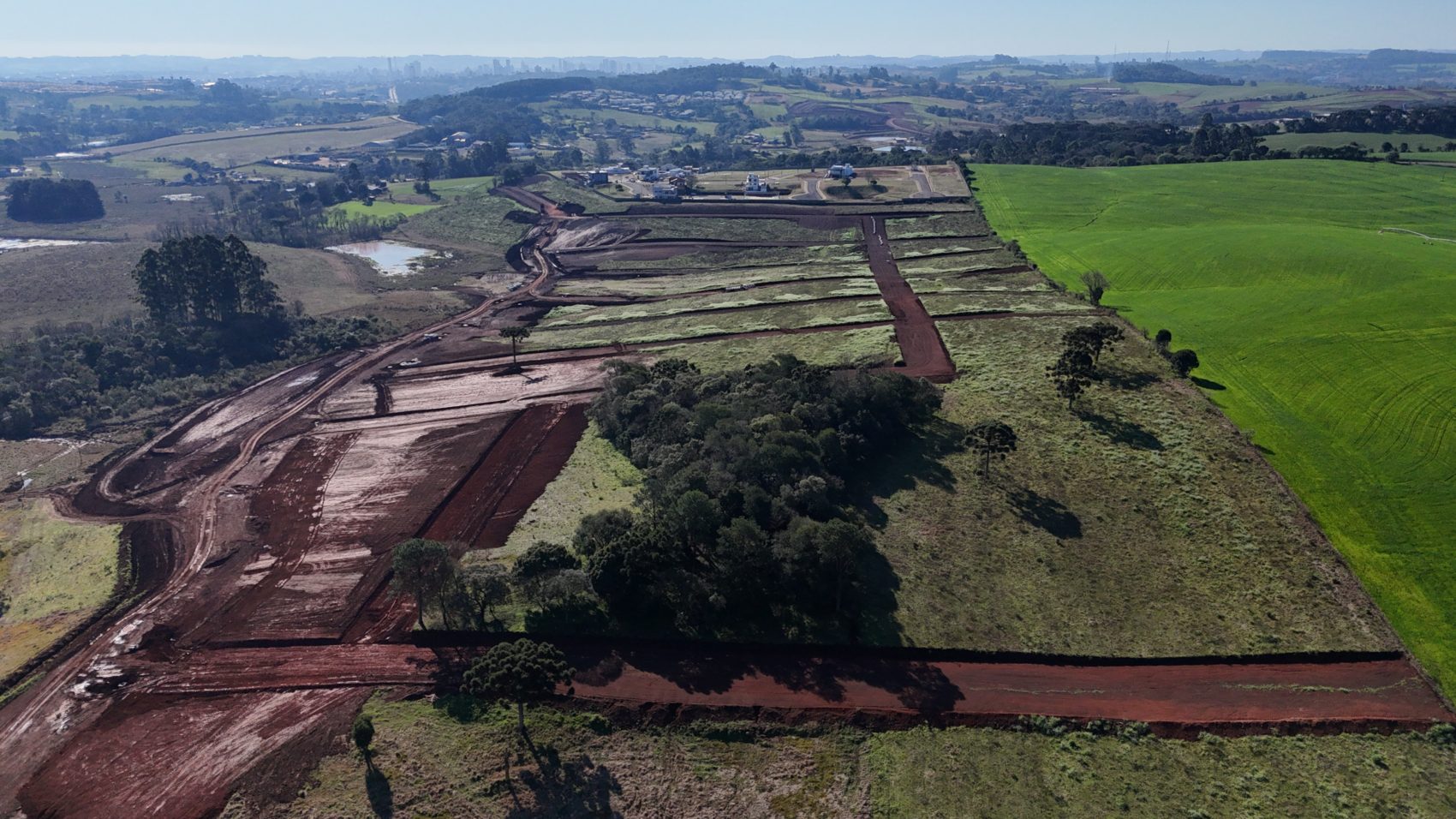 dji_fly_20250811_050132_0266_1754997498973_photo